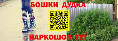 дурь Сланцы