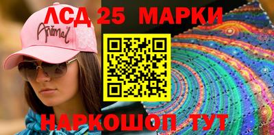 дурь Сланцы